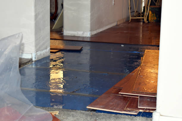 Professional Sewage Cleanup technician working in Bryson, TX